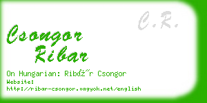 csongor ribar business card